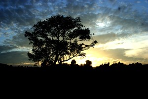 Oromiya sunset, Ethiopia.