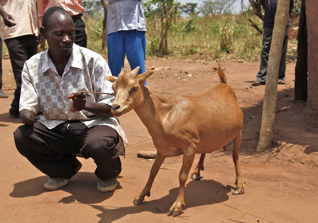 Lord’s Resistance Armyn sieppaama Francis menetti oikean kätensä, kun hänet vapauttaneiden sotilaiden auto ajoi miinaan.