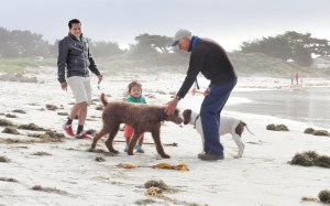 Beachlife at Carmel by the Sea, California
