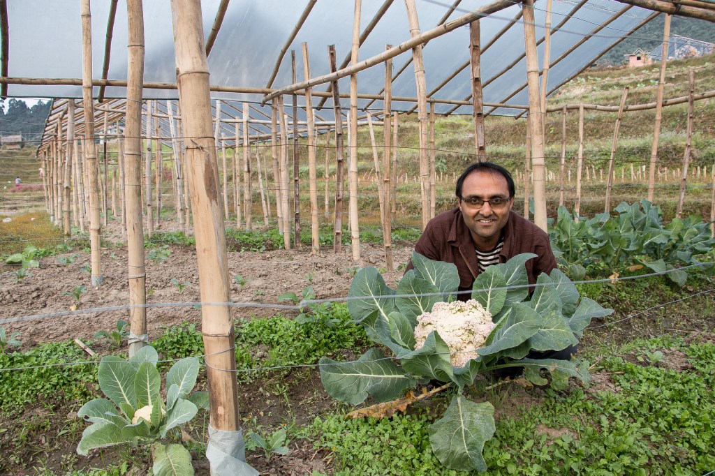 Avustajia oppisopimuksella.