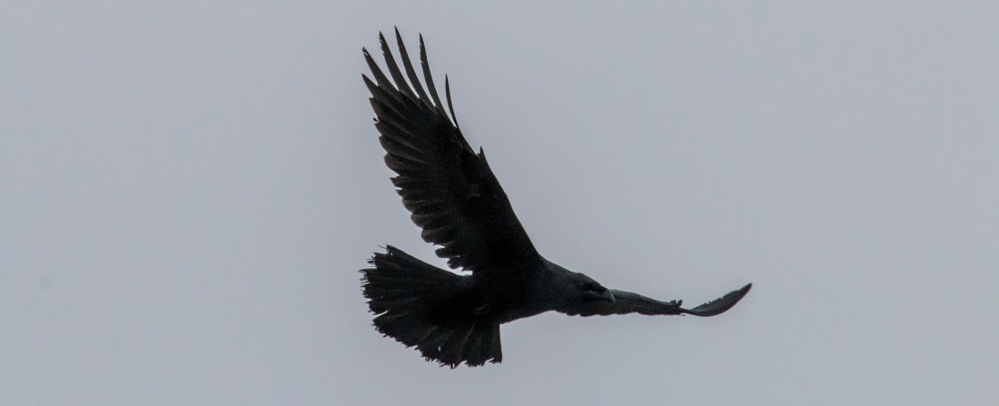 Outokumpu-Korpit-4420